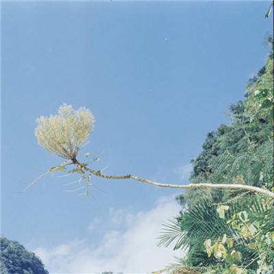 星火先锋手游下载