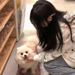 神之召唤九游版下载